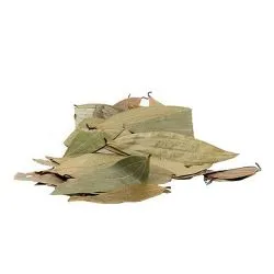 Bay Leaves (Tejpata)