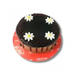 Bento Cake Ultimate Chocolate