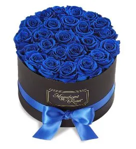 Premium Blue Velvet Rose Box