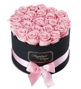 Premium Blush Roses Box